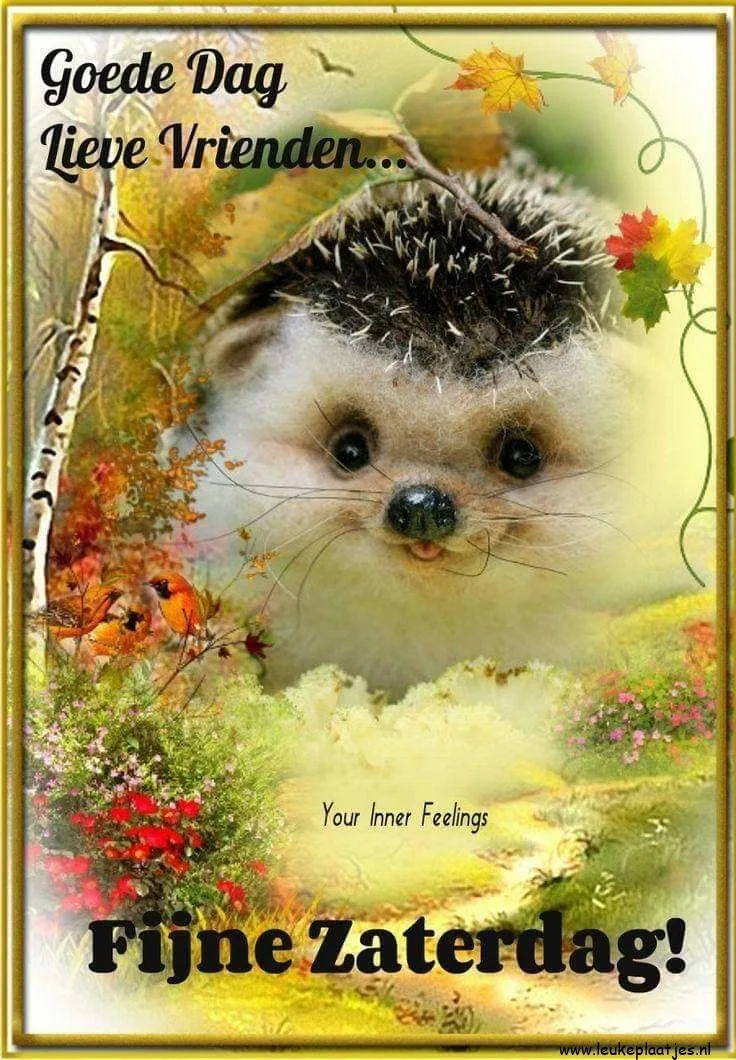 Een schattig egel in een herfstlandschap met een begroeting.