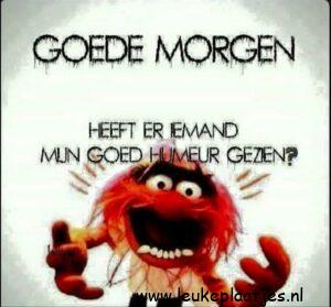 goedemorgen humor