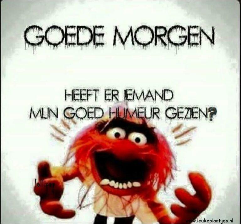 ᐅ goedemorgen humor - Goedemorgen plaatjes