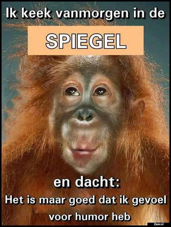Aap kijkt in de spiegel en denkt aan humor met een orang-oetan.