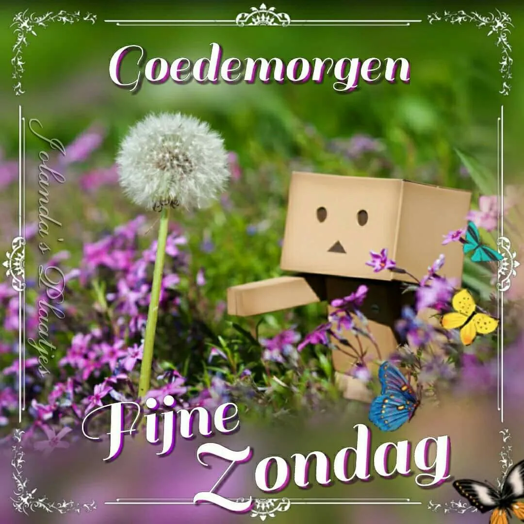 Een kartonnen doosje tussen paarse bloemen met een paardenbloem en vlinders.