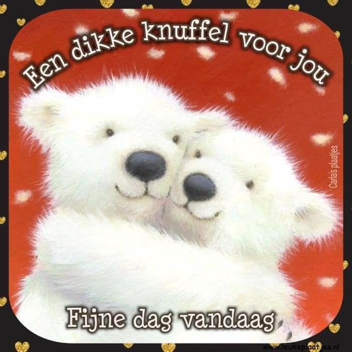 ᐅ goedemorgen knuffel - Fijne Dag plaatjes