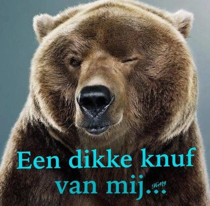 ᐅ goedemorgen knuffel - Fijne Dag plaatjes Grizzlybeer met een knipoog en de tekst: "Een dikke knuf van mij..."