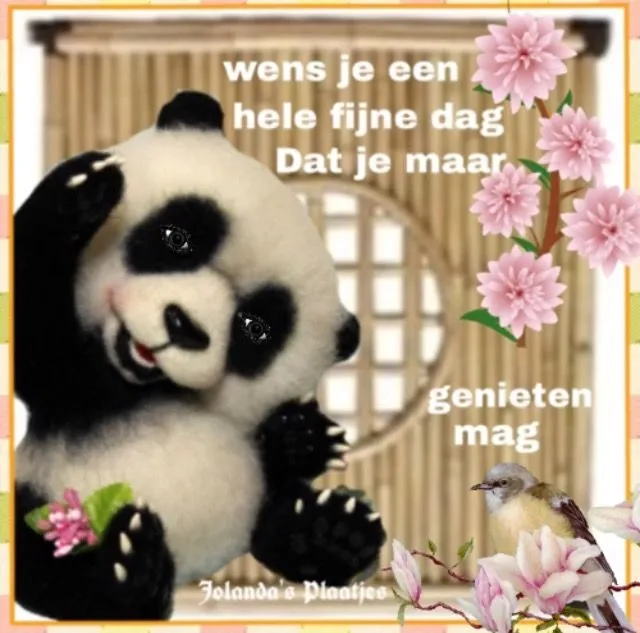 ᐅ goedemorgen knuffel - Fijne Dag plaatjes Panda knuffel met bloemen en een vogel, met de tekst "Fijne dag gewenst."
