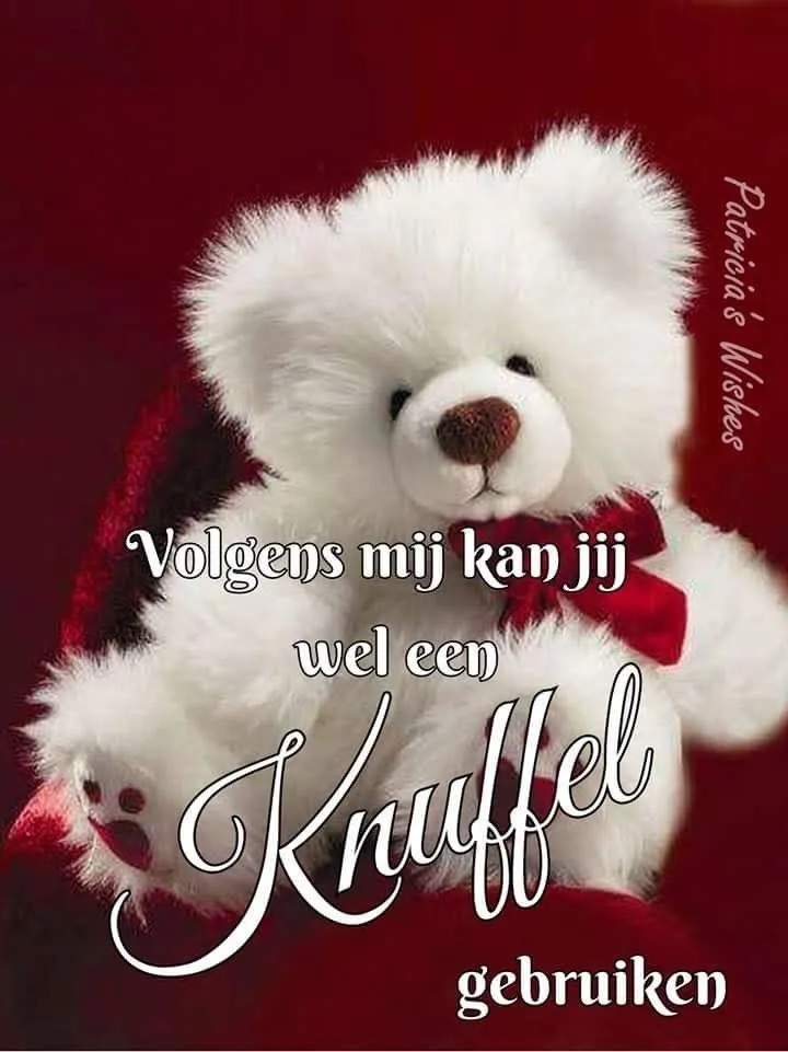ᐅ goedemorgen knuffel - Fijne Dag plaatjes Witte teddybeer met een rode strik, tekst "Volgends mij kan jij wel een Knuffel gebruiken".