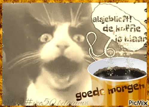 Zwarte kat met grote ogen die schreeuwt met een kop koffie en de tekst "goedemorgen".