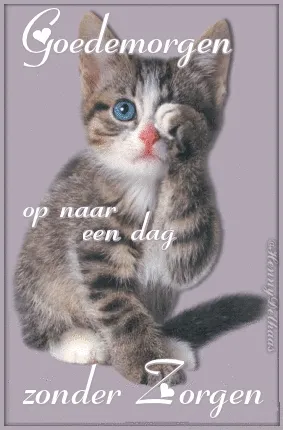 ᐅ goedemorgen lieverd gif - Goedemorgen plaatjes Een schattige kitten bedekt een oog met zijn poot, met de tekst "Goedemorgen".