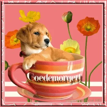 ᐅ goedemorgen lieverd gif - Goedemorgen plaatjes Een puppy zit in een grote, kleurrijke mok met bloemen op de achtergrond.