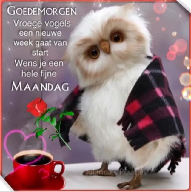 ᐅ Goedemorgen maandag - Maandag plaatjes
