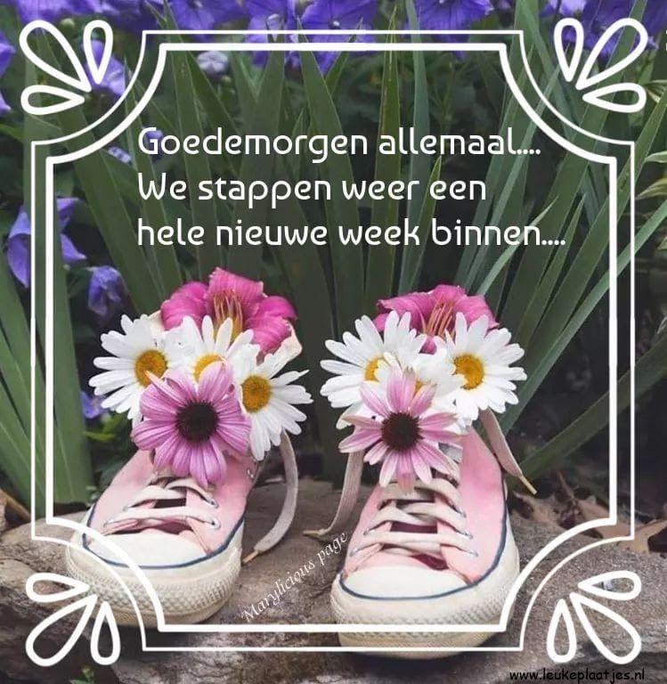 ᐅ goedemorgen maandag nieuwe week - goedemorgen maandag nieuwe week plaatjes