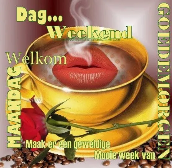 ᐅ goedemorgen maandag nieuwe week - Maandag plaatjes