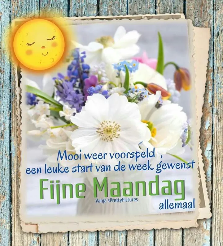 ᐅ goedemorgen maandag nieuwe week - Maandag plaatjes