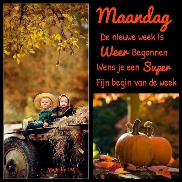 ᐅ goedemorgen maandag nieuwe week - Maandag plaatjes
