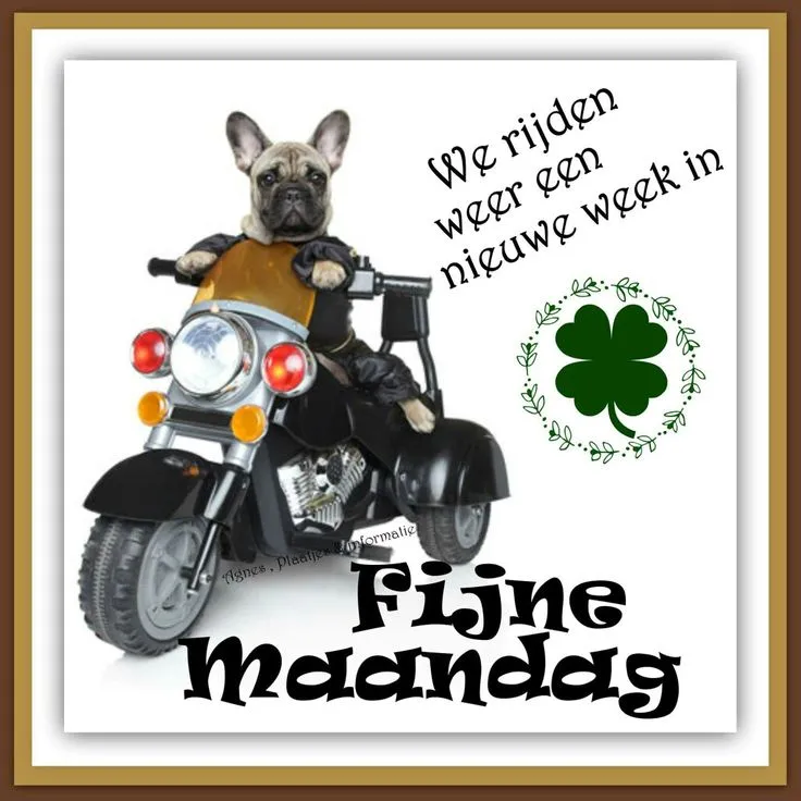 ᐅ goedemorgen maandag nieuwe week - Maandag plaatjes