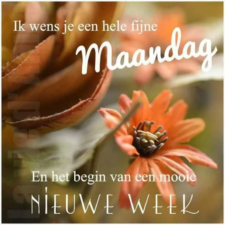 ᐅ goedemorgen maandag nieuwe week - Maandag plaatjes