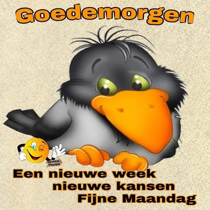 ᐅ goedemorgen maandag nieuwe week - Maandag plaatjes