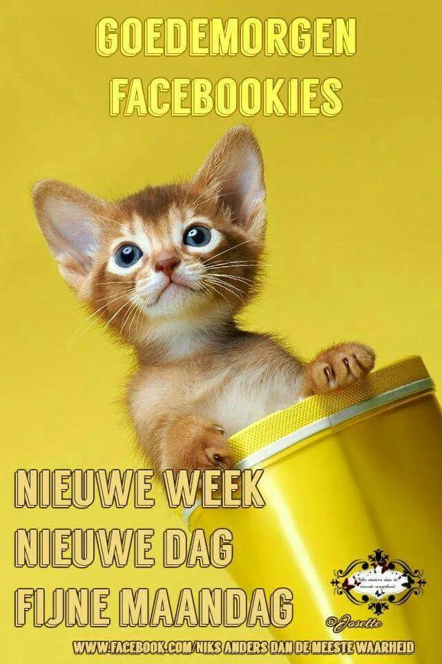 ᐅ goedemorgen maandag nieuwe week - Maandag plaatjes