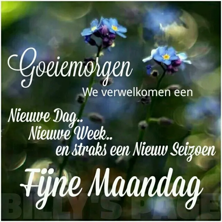 ᐅ goedemorgen maandag nieuwe week - Maandag plaatjes