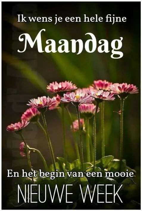 ᐅ goedemorgen maandag nieuwe week - Maandag plaatjes