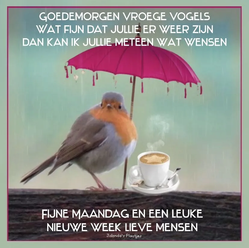 ᐅ goedemorgen maandag nieuwe week - Maandag plaatjes