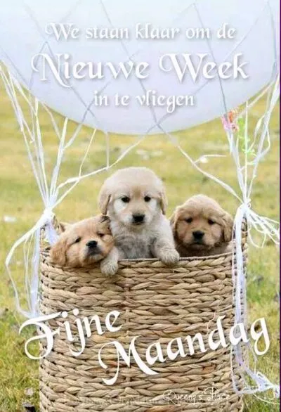 ᐅ goedemorgen maandag nieuwe week - Maandag plaatjes