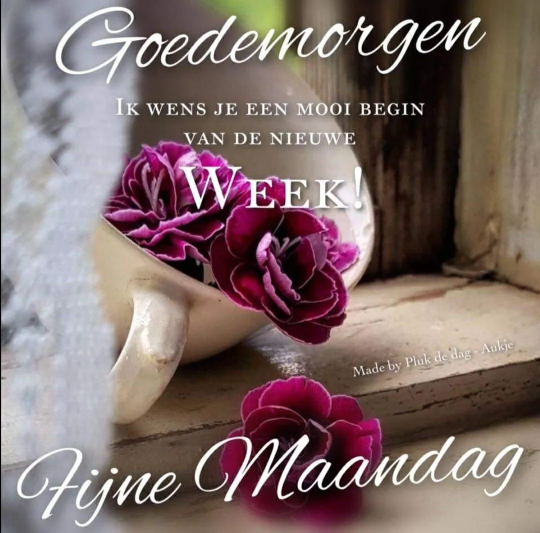 ᐅ goedemorgen maandag nieuwe week - Maandag plaatjes
