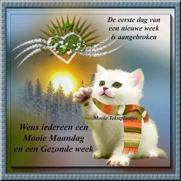 ᐅ goedemorgen maandag nieuwe week - Maandag plaatjes