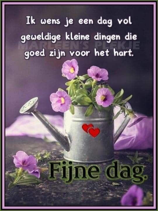 ᐅ Kostenlose Goedemorgen Plaatjes - Die schönsten Bilder - Goedemorgen plaatjes Goedemorgen Plaatjes - Ein Spruch mit fliederfarbenen Blumen, Gießkanne und dem Wunsch nach einem schönen Tag.
