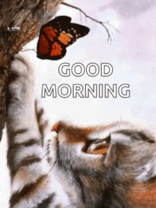 goedemorgen schat gif
