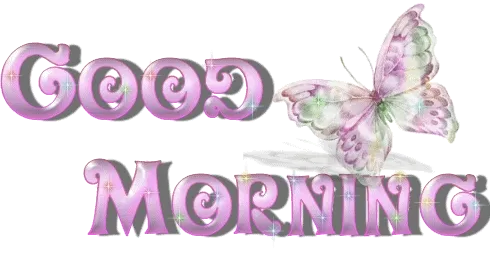 Verwelkomende tekst "Goedemorgen" met een kleurrijke vlinder.