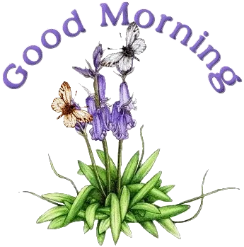 Lila bloemen met vlinders en de tekst "Good Morning" erboven.