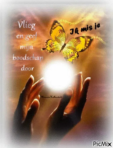 Twee handen houden een lichtbol, met een vlinder en de tekst: "Ik mis je."