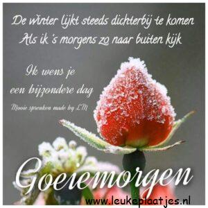 goedemorgen spreuken