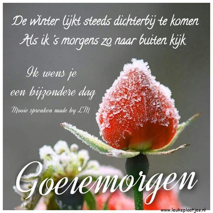 ᐅ goedemorgen spreuken - goedemorgen spreuken plaatjes