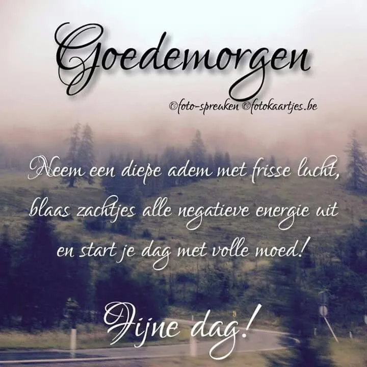 Tekst met een positieve boodschap voor een goede ochtend en een fijne dag.