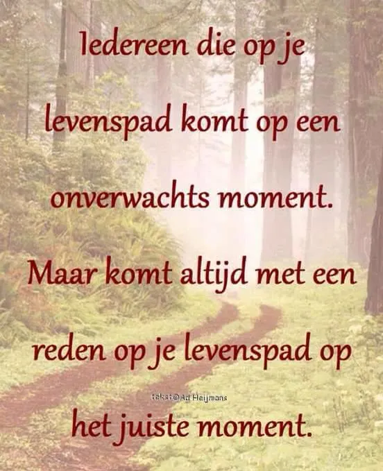 Tekst in een bos met een levenspad en een inspirerende boodschap over momenten.