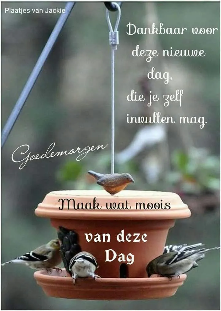 Vogels rond een voederhuisje met inspirerende tekst over de dag.