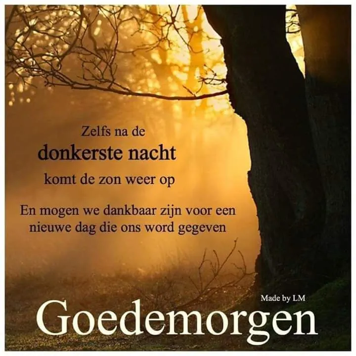 Tekst op een zonovergoten achtergrond met inspirerende woorden over een nieuwe dag.