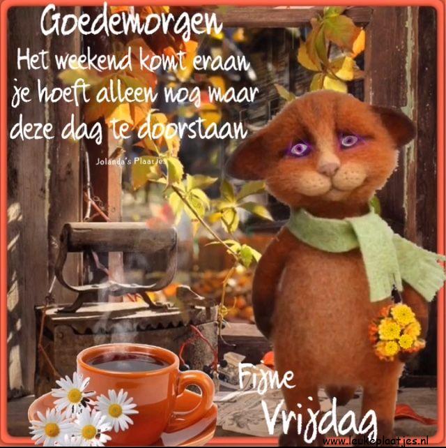 ᐅ goedemorgen vrijdag - goedemorgen vrijdag plaatjes