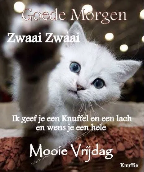 ᐅ goedemorgen vrijdag - Vrijdag plaatjes