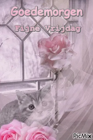 ᐅ goedemorgen vrijdag - Vrijdag plaatjes