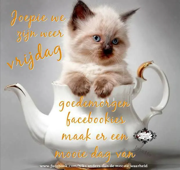 ᐅ goedemorgen vrijdag - Vrijdag plaatjes