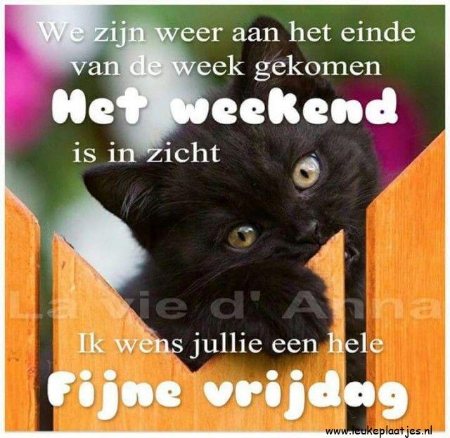 ᐅ goedemorgen vrijdag humor - goedemorgen vrijdag humor plaatjes