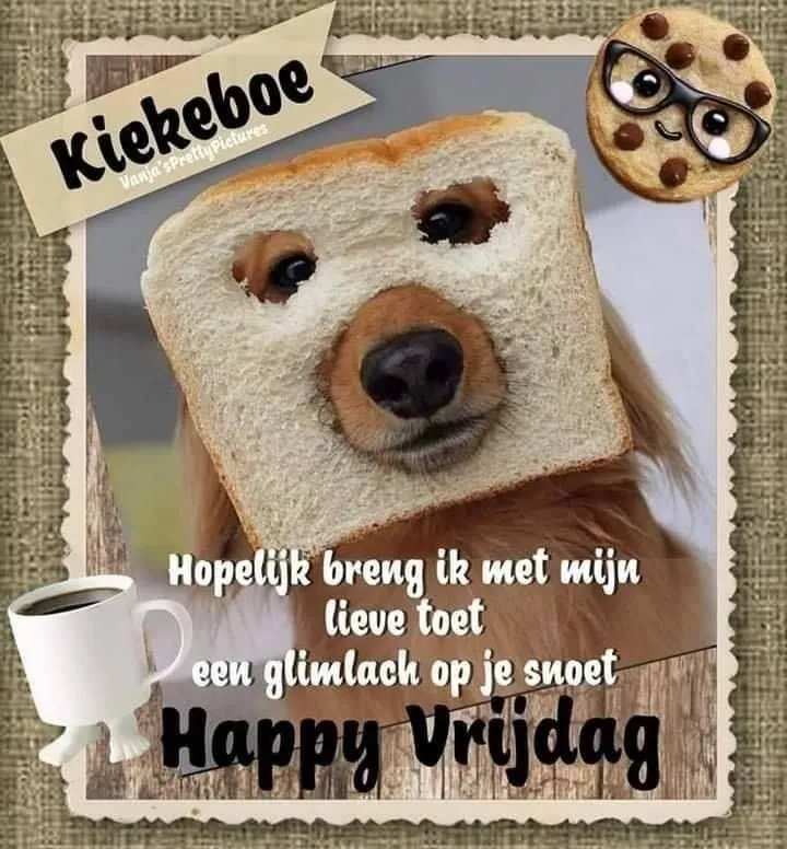 ᐅ goedemorgen vrijdag humor - Vrijdag plaatjes ᐅ goedemorgen vrijdag humor - Vrijdag plaatjes