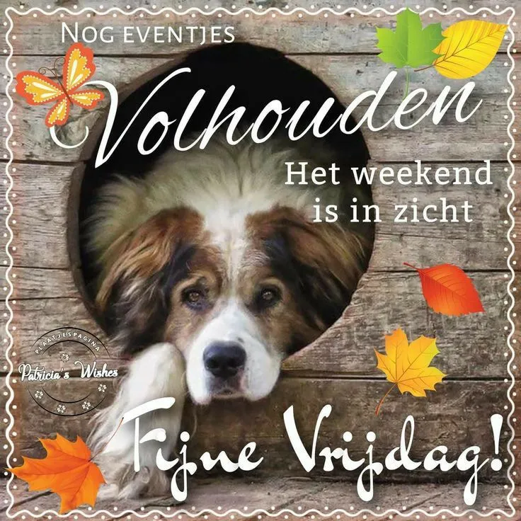 ᐅ goedemorgen vrijdag humor - Vrijdag plaatjes ᐅ goedemorgen vrijdag humor - Vrijdag plaatjes