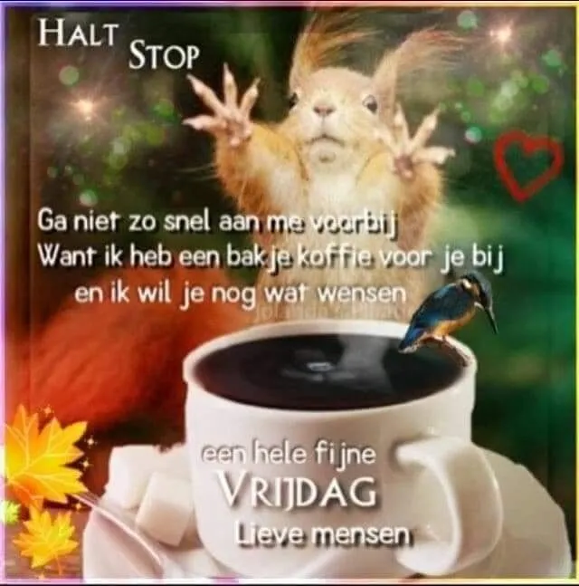 ᐅ goedemorgen vrijdag humor - Vrijdag plaatjes ᐅ goedemorgen vrijdag humor - Vrijdag plaatjes