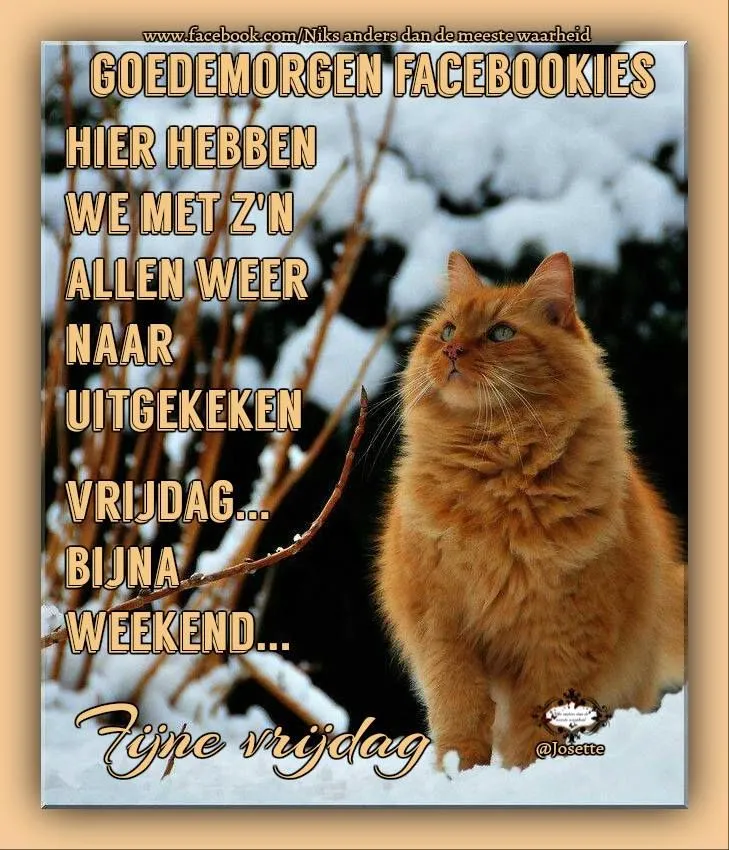 ᐅ goedemorgen vrijdag humor - Vrijdag plaatjes ᐅ goedemorgen vrijdag humor - Vrijdag plaatjes