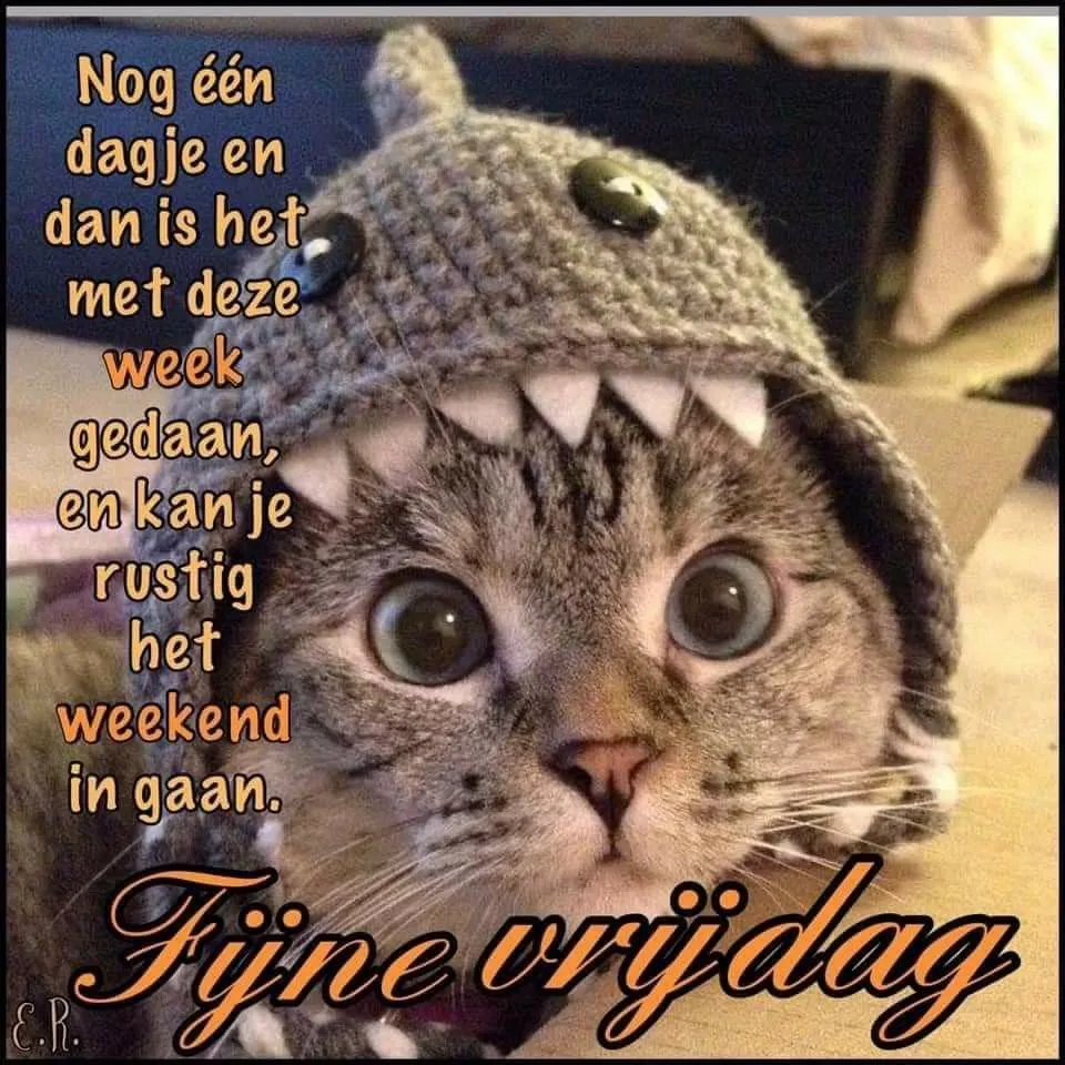 ᐅ goedemorgen vrijdag humor - Vrijdag plaatjes ᐅ goedemorgen vrijdag humor - Vrijdag plaatjes