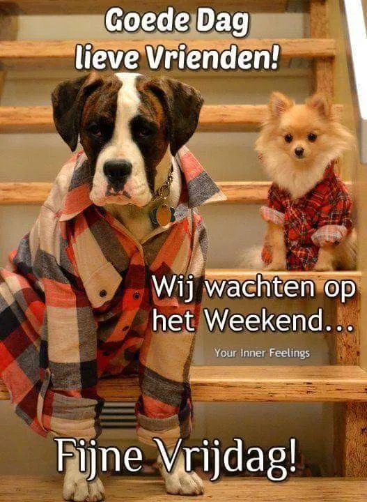 ᐅ goedemorgen vrijdag humor - Vrijdag plaatjes ᐅ goedemorgen vrijdag humor - Vrijdag plaatjes