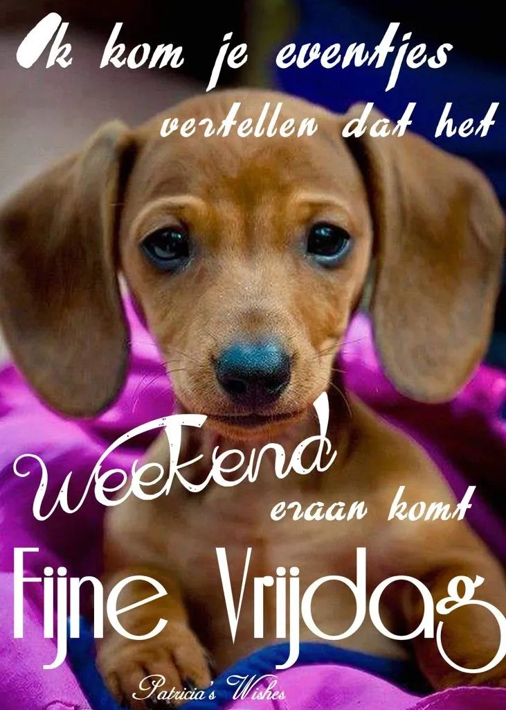 ᐅ goedemorgen vrijdag humor - Vrijdag plaatjes ᐅ goedemorgen vrijdag humor - Vrijdag plaatjes